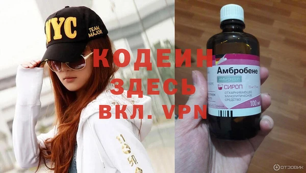 спиды Горняк