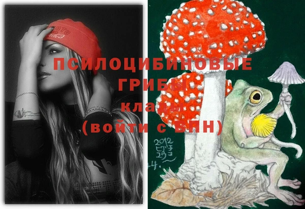 тгк Балахна